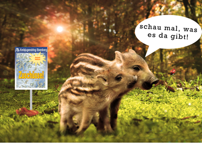 Zuschussinfoabende
