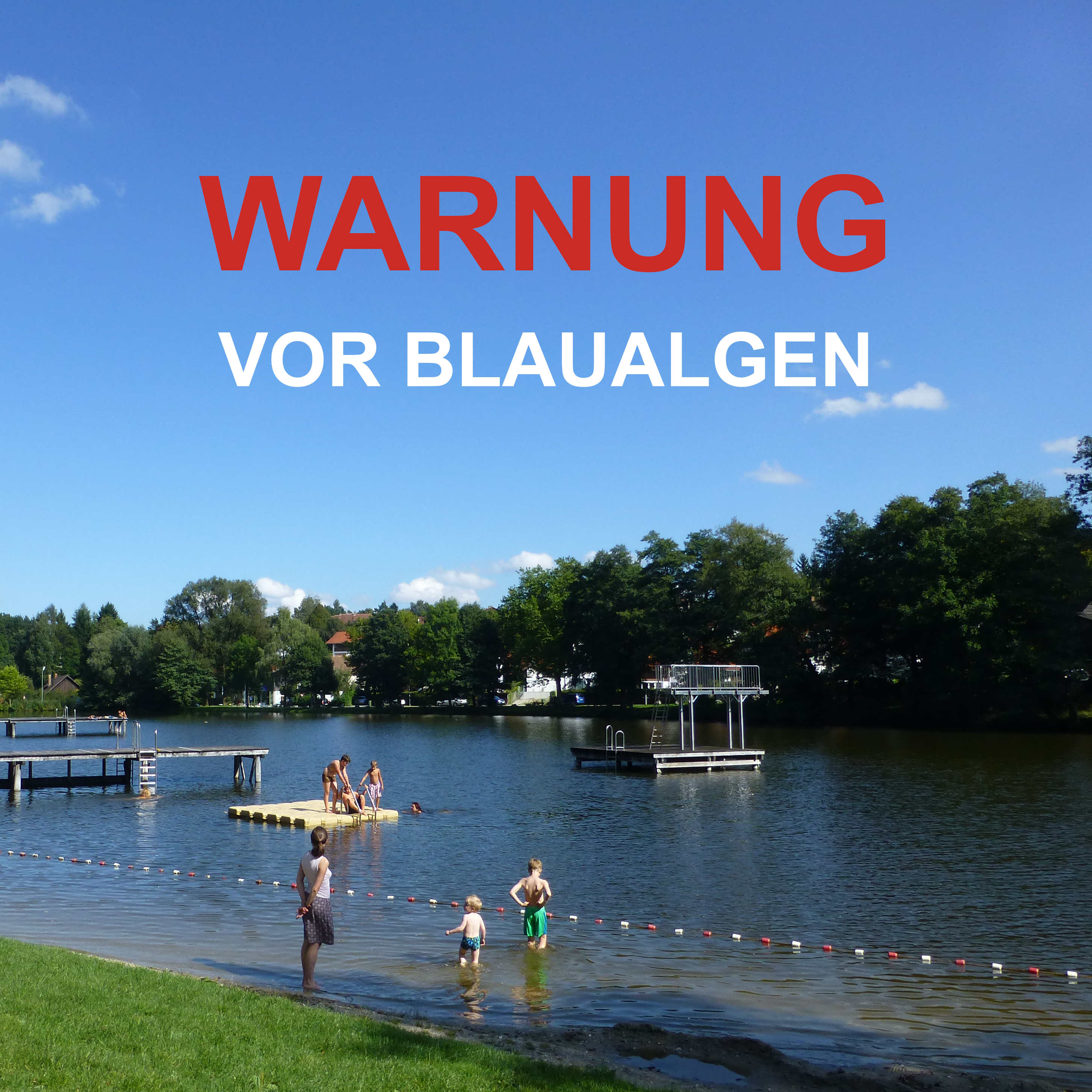 Warnung vor Blaualgen im Klostersee