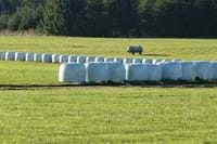 Silageballen
