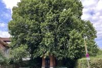 Ägidius Kapelle Grafing