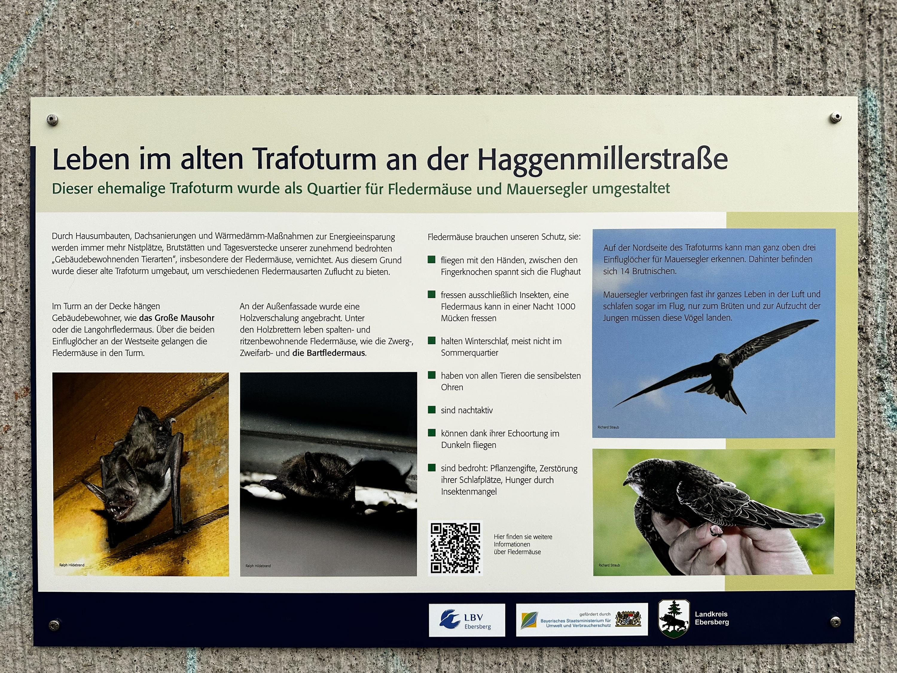 2024-03-04 Fototermin Trafoturm-1.jpg