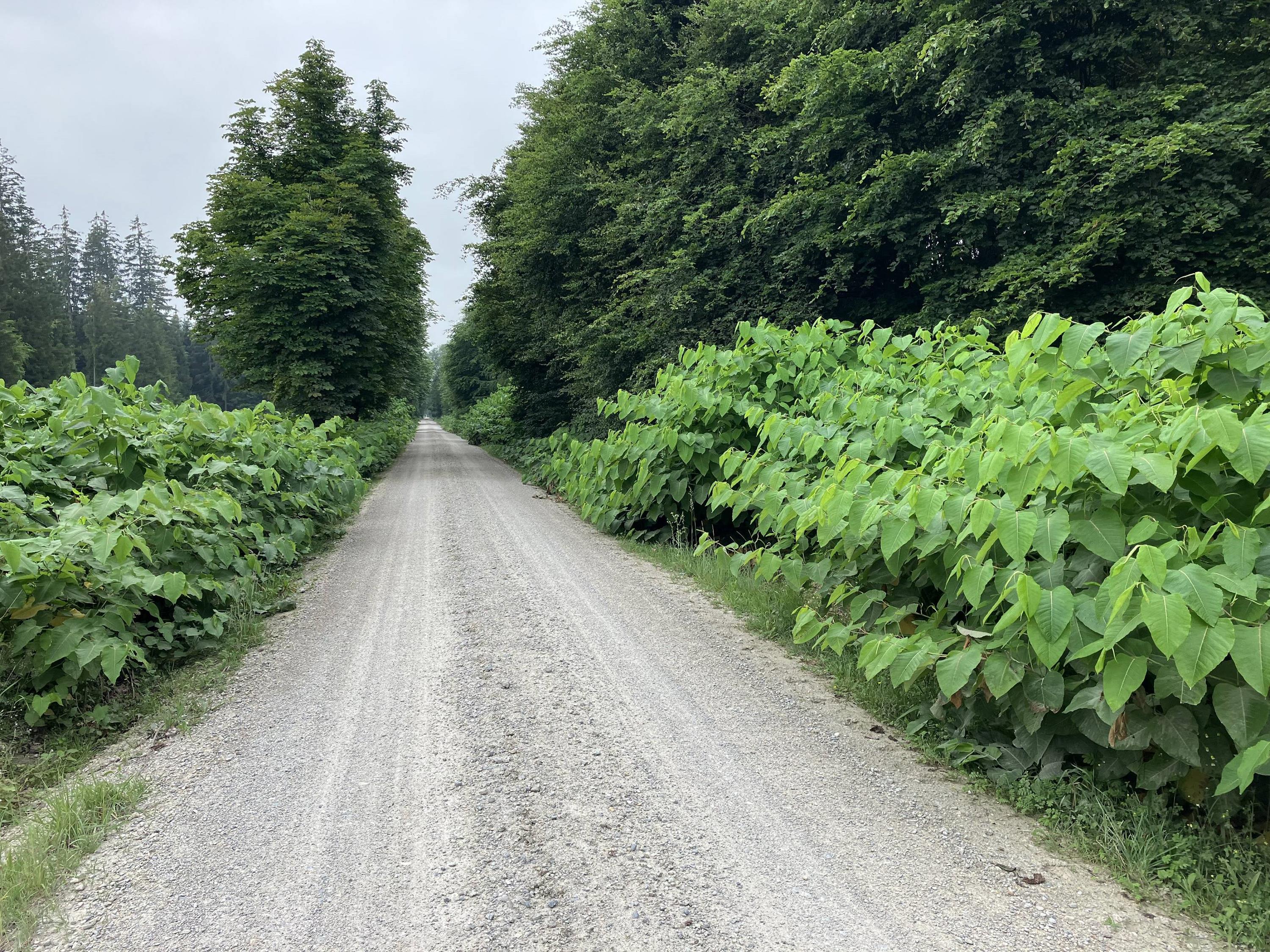 Leider haben wir keinen Alternativtext zu diesem Bild, aber wir arbeiten daran.