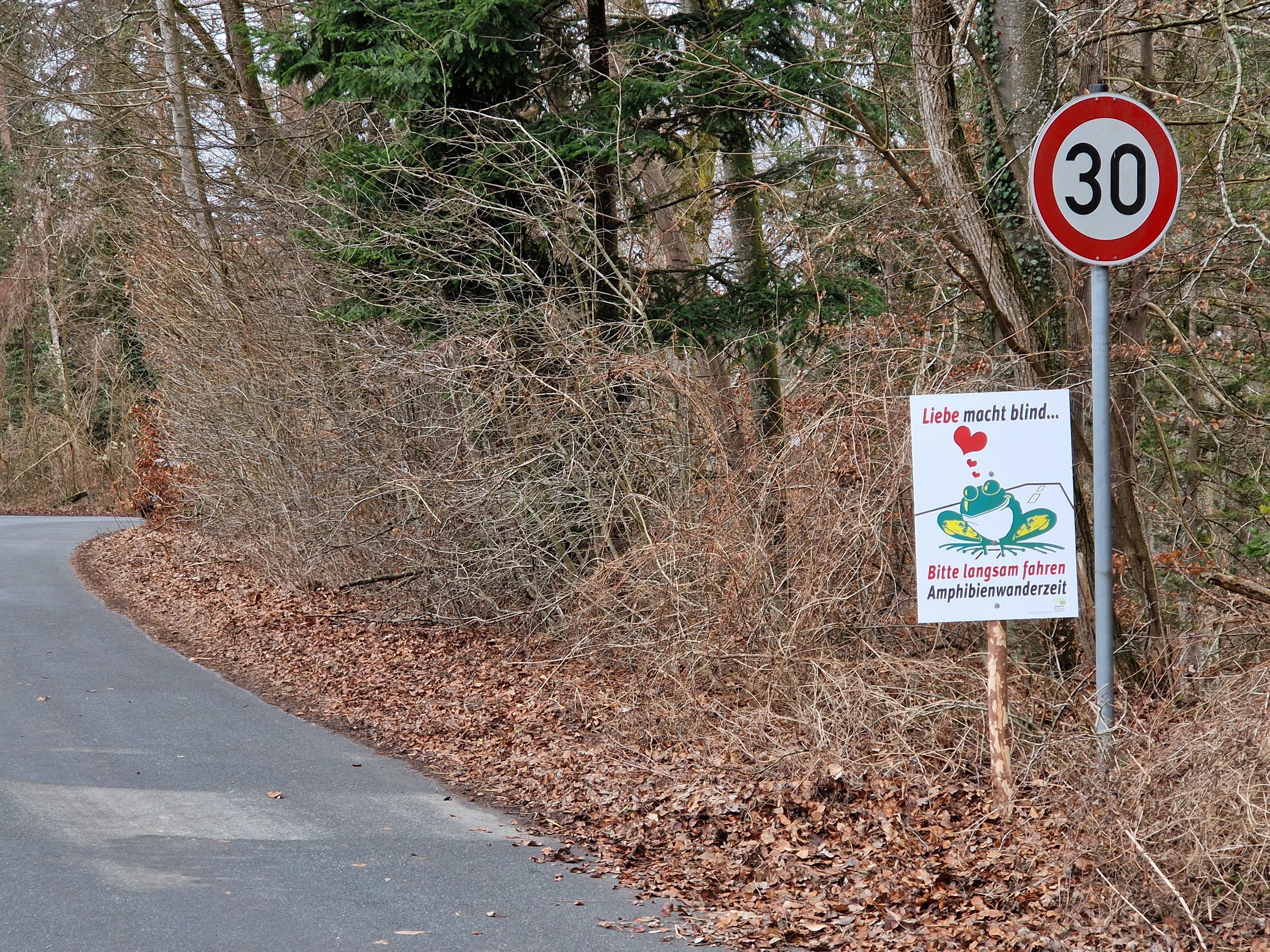 Amphibienwanderung im Landkreis hat begonnen