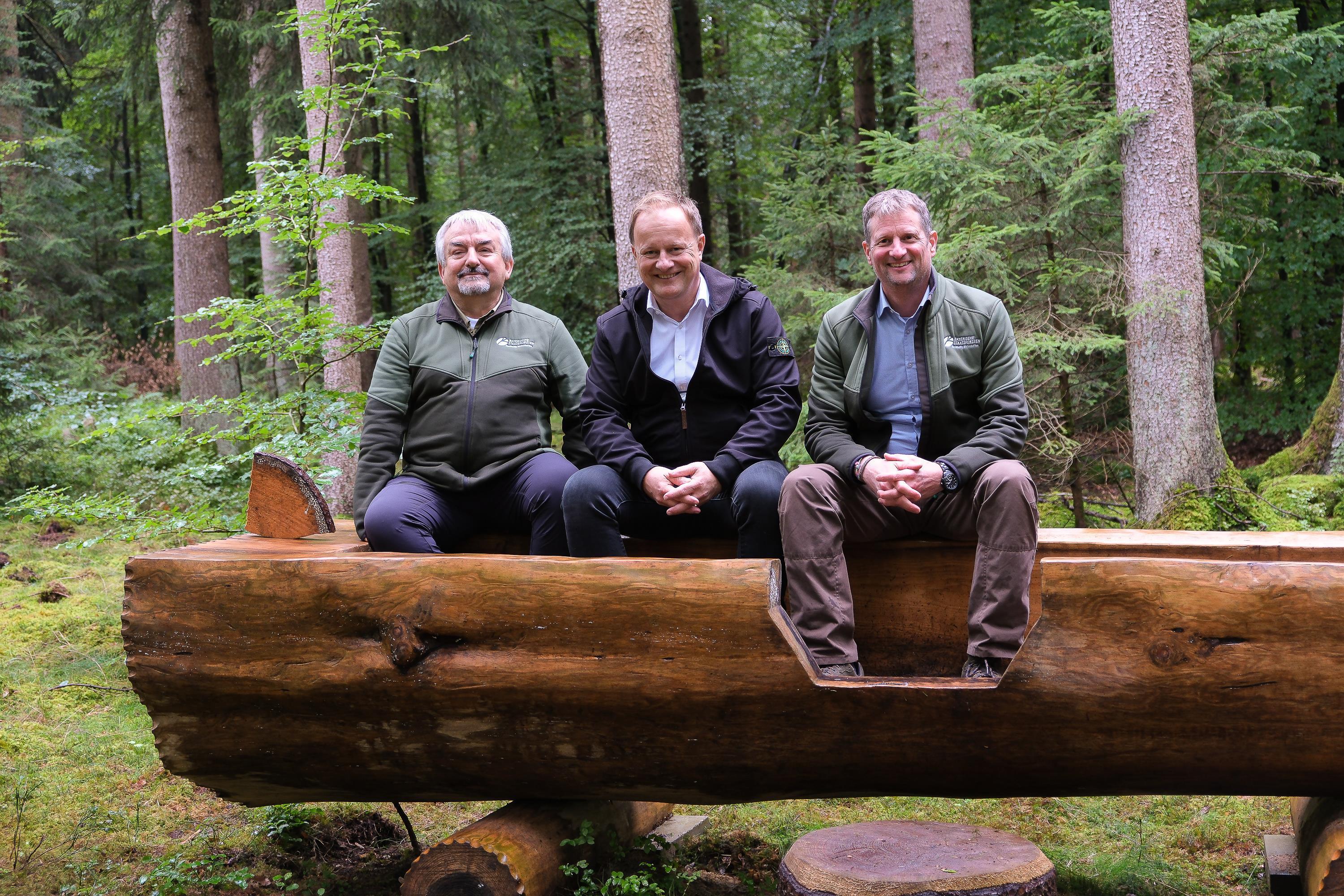 Waldbegang