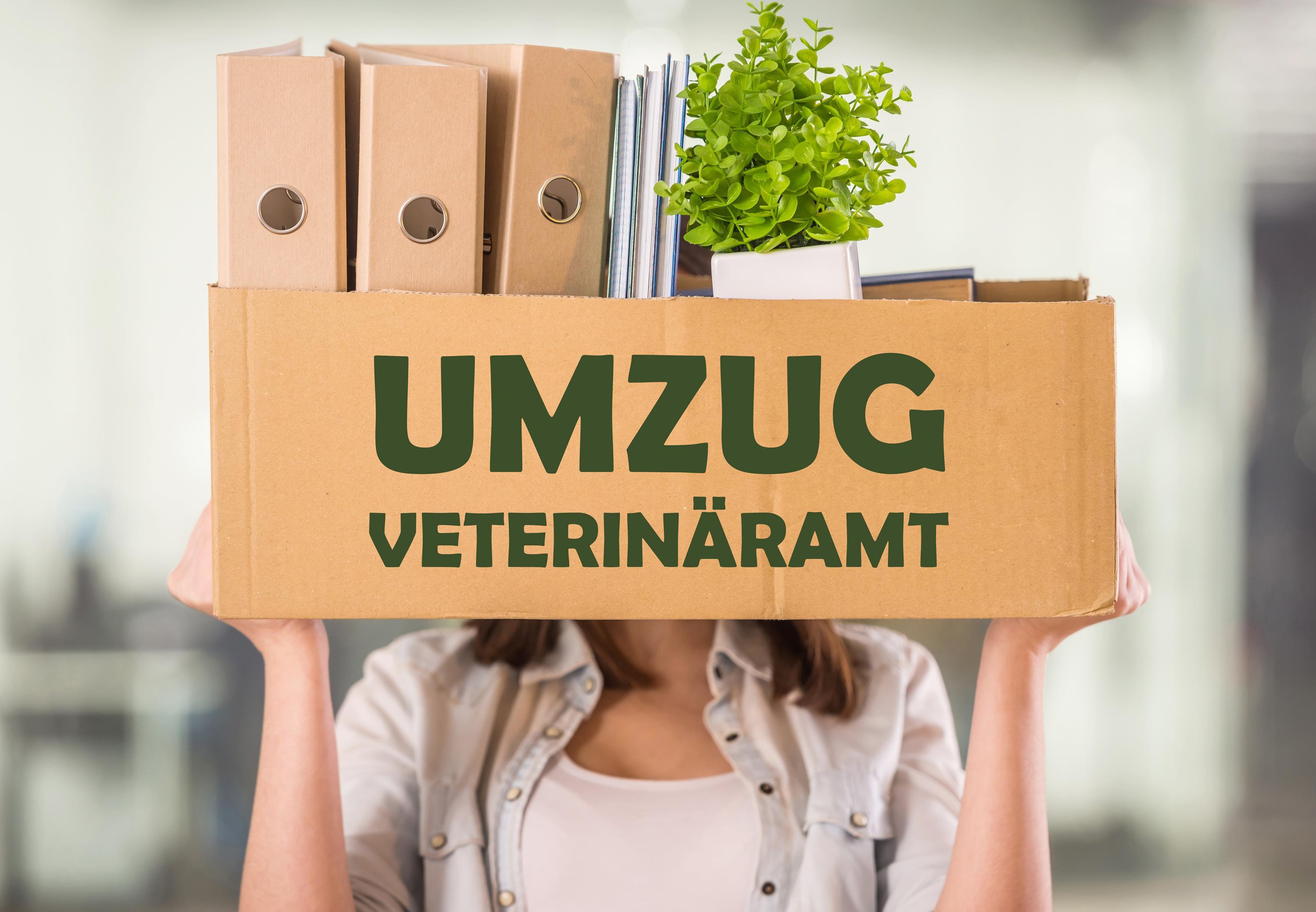 Umzug Veterinäramt